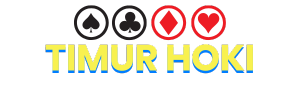 Logo TIMURHOKI